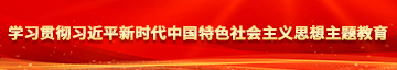 www,逼逼学习贯彻习近平新时代中国特色社会主义思想主题教育